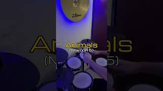 Animals | Drum Cover | Maroon 5 | #drummer #explore #foryou #artist #viral #shorts #drumcover