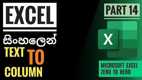 Excel  Text to Columns  | Zero To Hero Part 14 | Sinhala