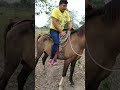 Aprendiendo a montar caballo