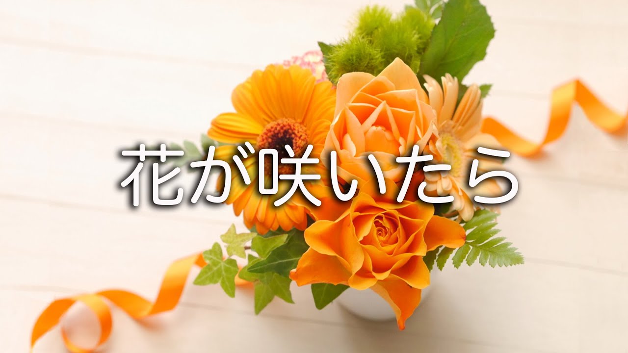 花が咲いたら 作詞 さむでぃ 作 編曲 Atsushi 歌 Ayano Youtube