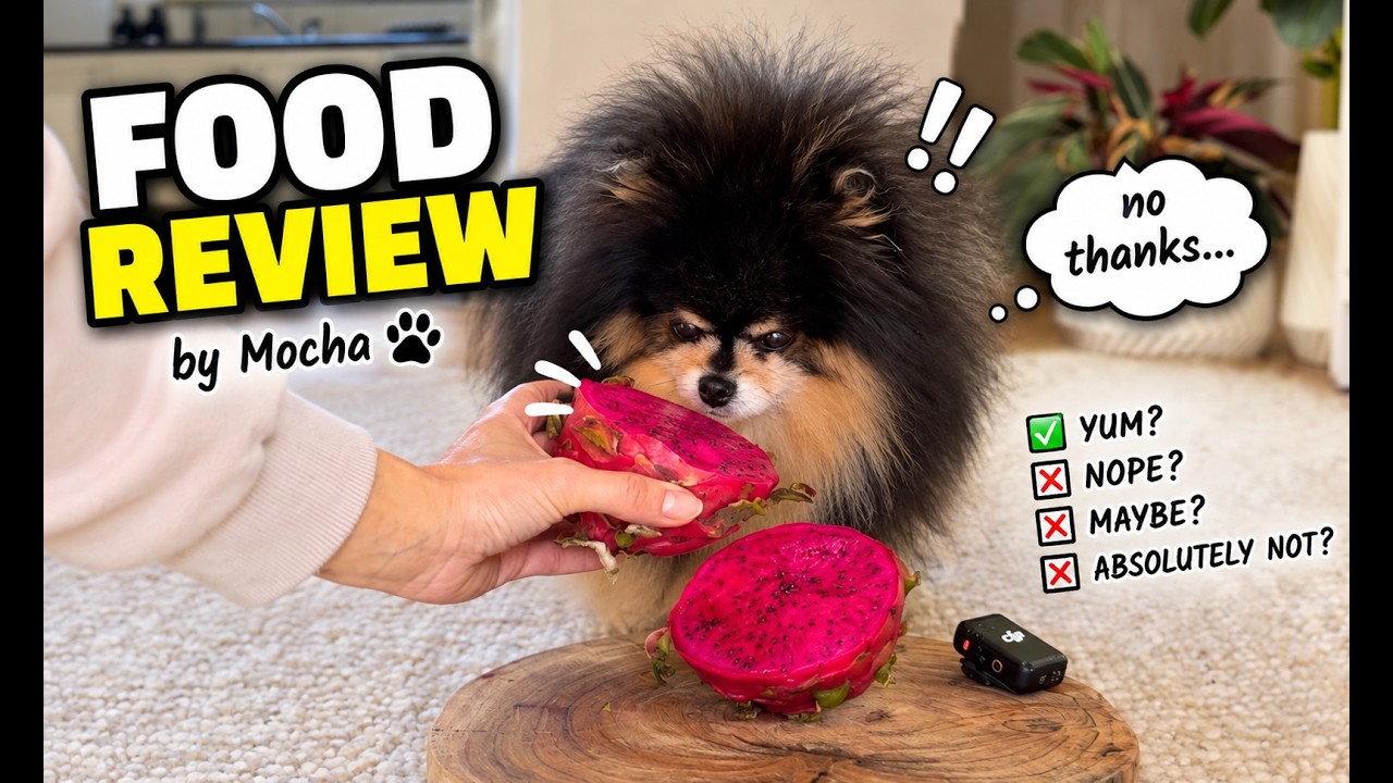 Latest Title & Thumbnail
