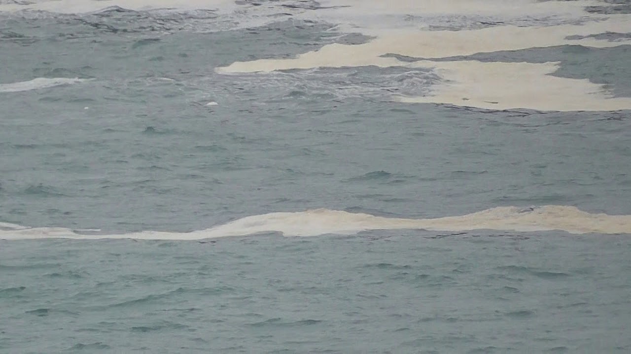 潮目は海が時化ると気泡ができてわかりやすい - YouTube