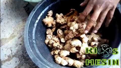 HARGA JUAL Mesin Pemeras Jahe Instan