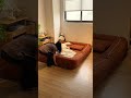 お金を節約するには、すべてを一度に済ませることです！ソファとベッドが一体になったドッグハウスソファ。#Vakdle#ソファベッド #折りたたみソファベッド#折りたたみソファ#ビーンバッグ