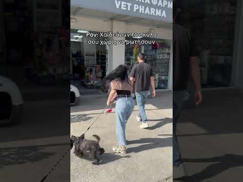 Εσύ τι θα