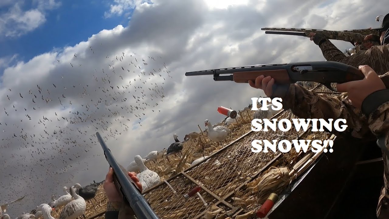 Snow Goose SMASH Conservation Snow Geese Hunting Kansas Pit Blinds