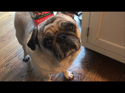 test video (please don't click) - test video (please don't click)