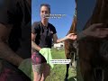 Gentle Horse Care, Using a Washcloth Instead of a Hose