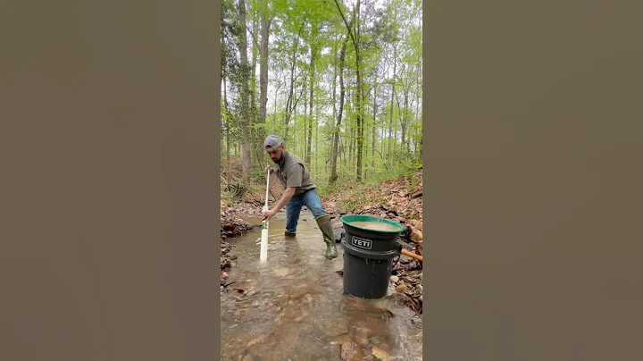 Finding Insane Gold with the Trek 6x24 Dream mat sluice box while Gold Prospecting