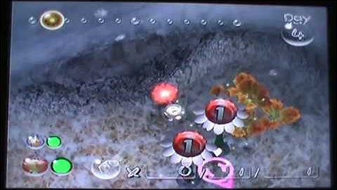 Looking at a Pellet Posy Crashes Pikmin 2