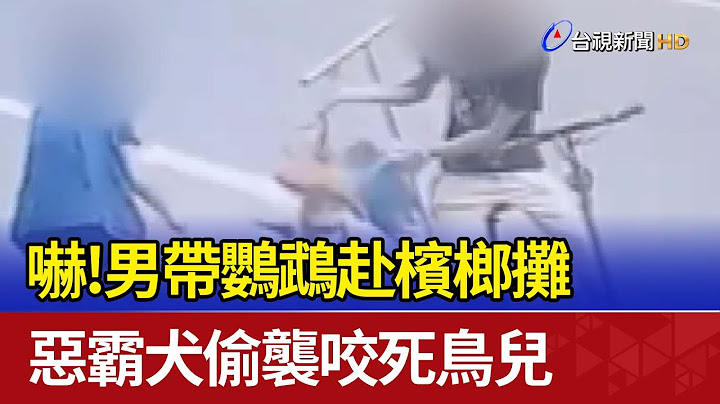 嚇！男帶鸚鵡赴檳榔攤 惡霸犬偷襲咬死鳥兒