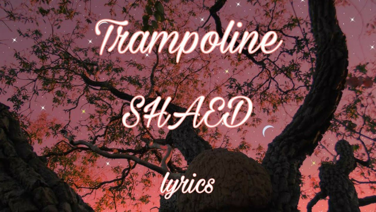 Trampoline SHAED (lyrics) YouTube