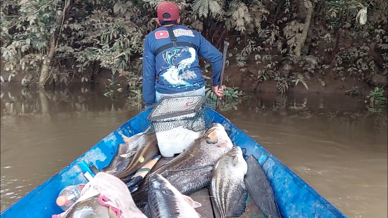 WOW..!!! TERKAPAR DI DEPAN MATA GARA GARA SIKAT IKAN LELE BANG ANTON
