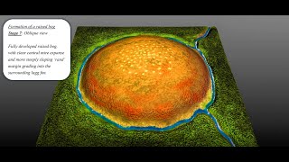 Raised bog formation