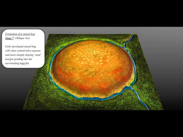 Fen Peatlands  IUCN UK Peatland Programme