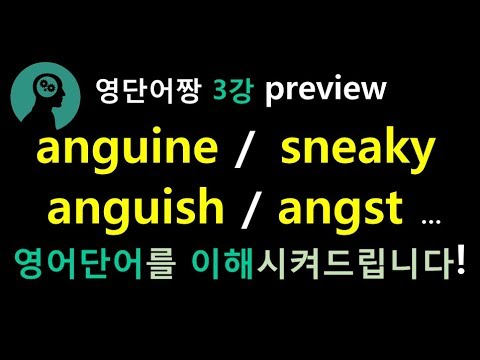 이해되는 영어단어 - 영단어암기비법- 시험에 나오는 영어단어 - anguine; sneaky; anguish; angst...