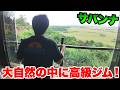 サバンナにある高級ホテルはジムやプールがあって豪華すぎた！？