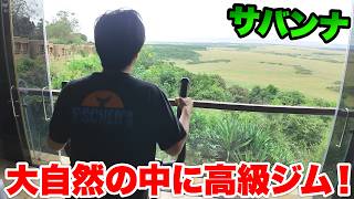 サバンナにある高級ホテルはジムやプールがあって豪華すぎた!?
