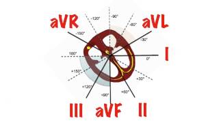 Cardiac Axis in 5 min