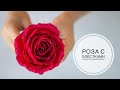 Зимняя роза к Новому году / DIY Tsvoric / Winter Rose for the New Year