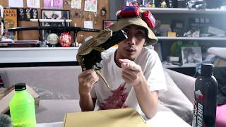 King Arms Python Airsoft Revolver TEST and Review