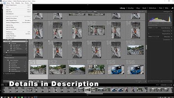 How to View Flag Picked Photo On Lightroom