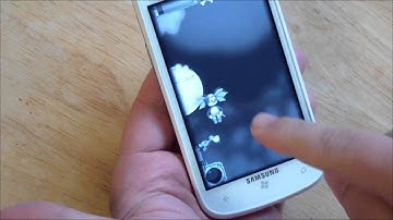 Pirate Cat for Windows Phone