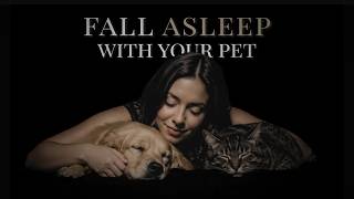 Fall Asleep Comfortably with Your Pet | Warm, Peaceful Sleep (Soft Female Voice) screenshot 5