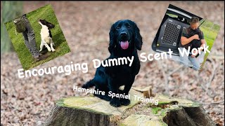 Activating and controling your dogs hunt drive through scent dummy work