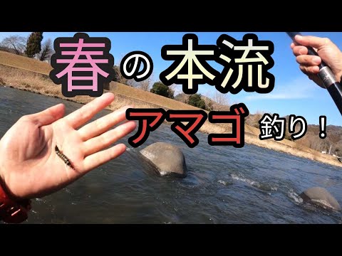 【本流釣り】【餌釣り】増水、濁り、爆風の本流釣り