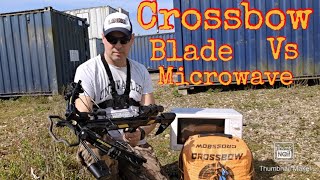 Crossbow 175lbs,How deadly it is???