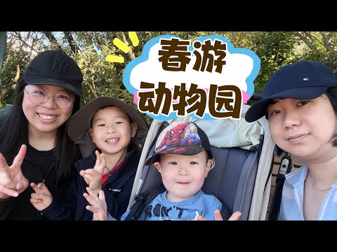 新西兰生活vlog｜春游动物园｜给生活做减法