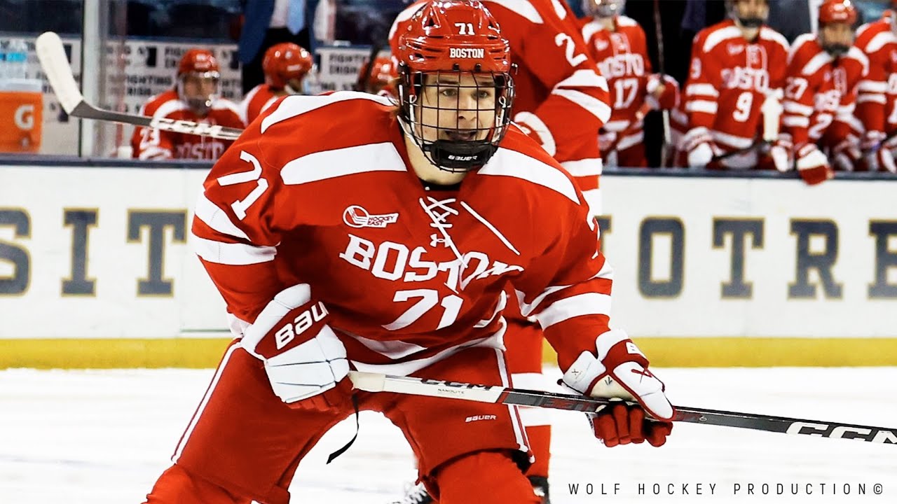 Macklin Celebrini 202324 Season Highlights YouTube