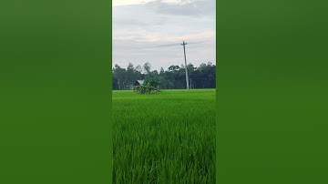 #سورة_الإخلاص #egzonibrahimi #foryou #ikhlas #automobile #lifeisbutadream #nature #haveitoldyoula