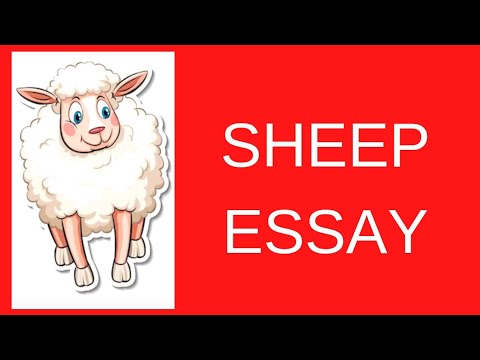 sheep essay for class 1