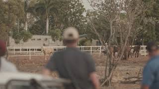 DIT Agtech   Birchal 1 Minute