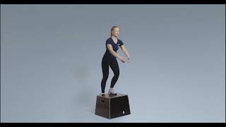 How to: Box Step Down