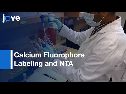 Calcium Fluorophore Labeling and NTA for Urinary Nanocrystals | Protocol Preview