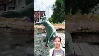 অনেক সুন্দর একটা ভিডিও #funny #comedymove #comedyfilms #comedy #animals #কৃষি