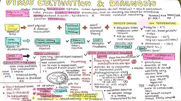 Virus sampling, storage and detection