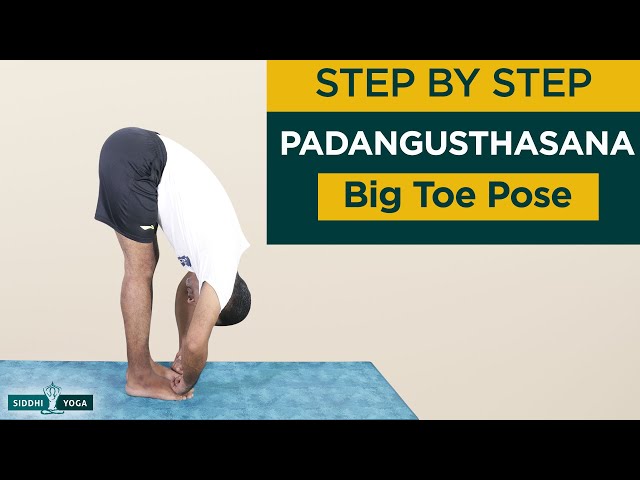 Extended Hand to big Toe Pose - Utthita Hasta Padangustasana - Sports and  Martial Arts in the United States & the Modern World