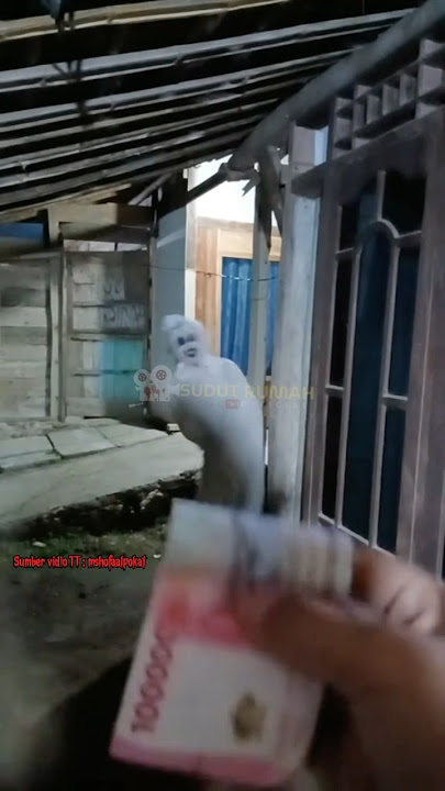 LIAT POCONG AUTO NAGIH🤣 #trending #shorts #creepy #hororkomedi #pocong #lucu #ngakak