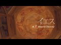 [Vietsub/Engsub] Yes (イエス) - Acid Black Cherry