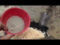 Middle of video