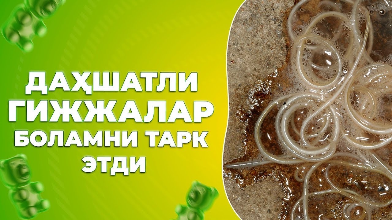 Joja yigitni siltab tashlaydi Joja yigitni siltab tashlaydi