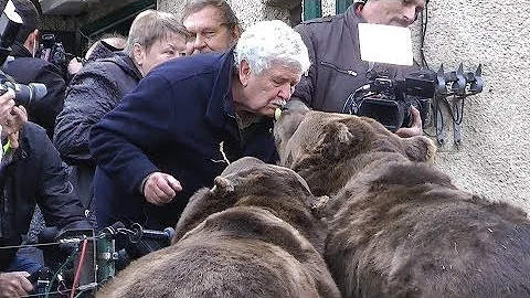 Kako da zaštitite svoju mačku od zlih duhova?