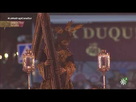 Primitiva Hermandad de los Nazarenos de Sevilla, Archicofradía Pontificia y Real de Nuestro Padre Jesús Nazareno, Santa Cruz en Jerusalén y María Santísima de la Concepción