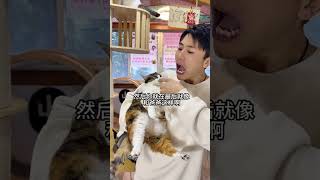 My Kitty Knows Her Priorities