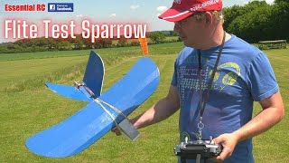 Super Scratch built RC aeroplane for Beginners and big Kids ! Flite Test Sparrow RC aeroplane