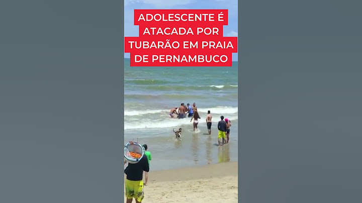 Adolescente é atacada por tubarão na Grande Recife, no 2º caso em dois dias